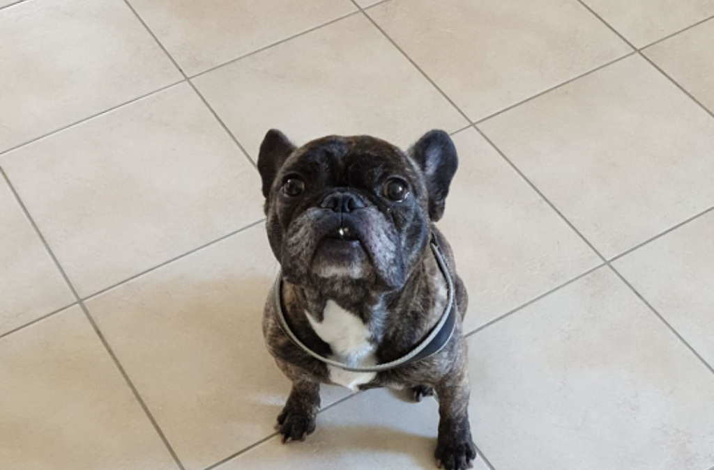 ISIDOR
