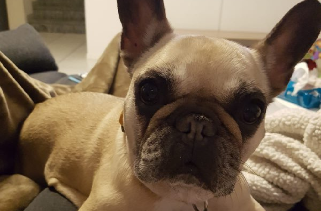 LILOO