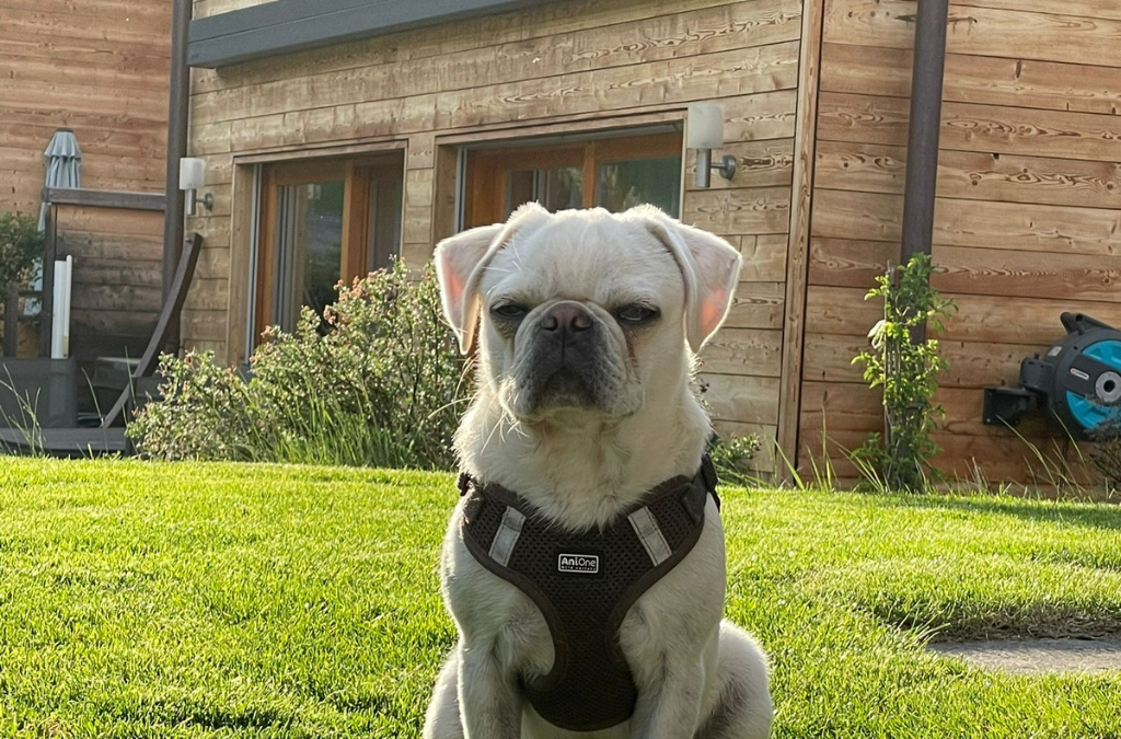 CARLO
