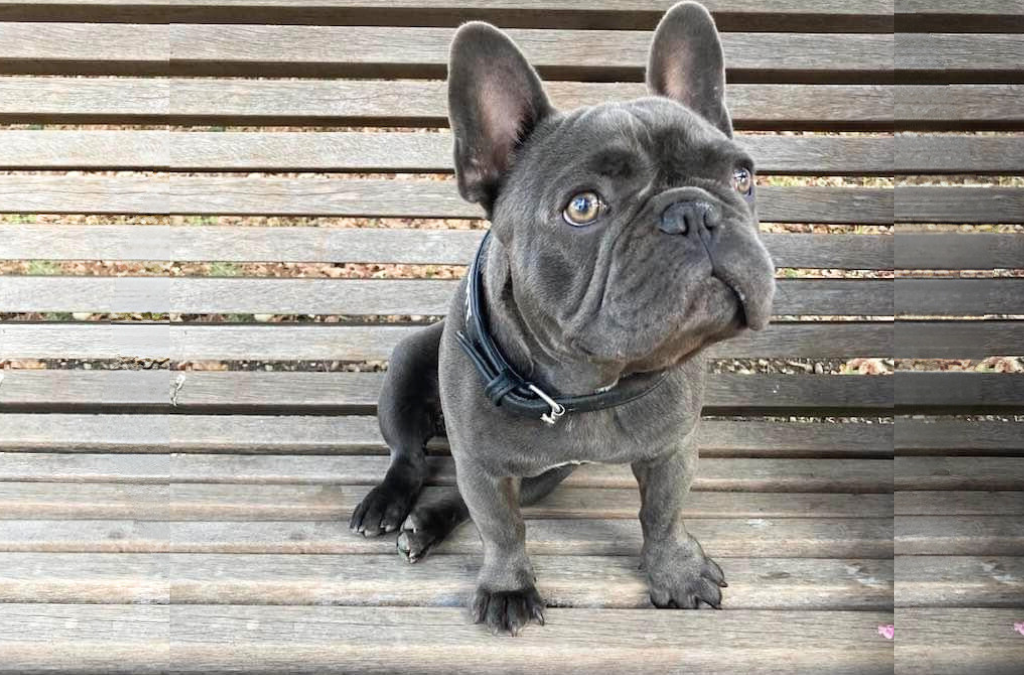 TAÏKO