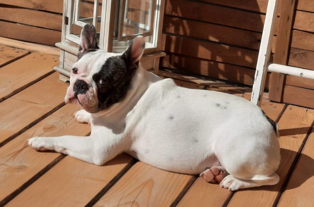 EDGAR