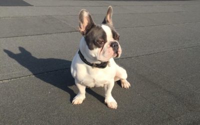 LÉON