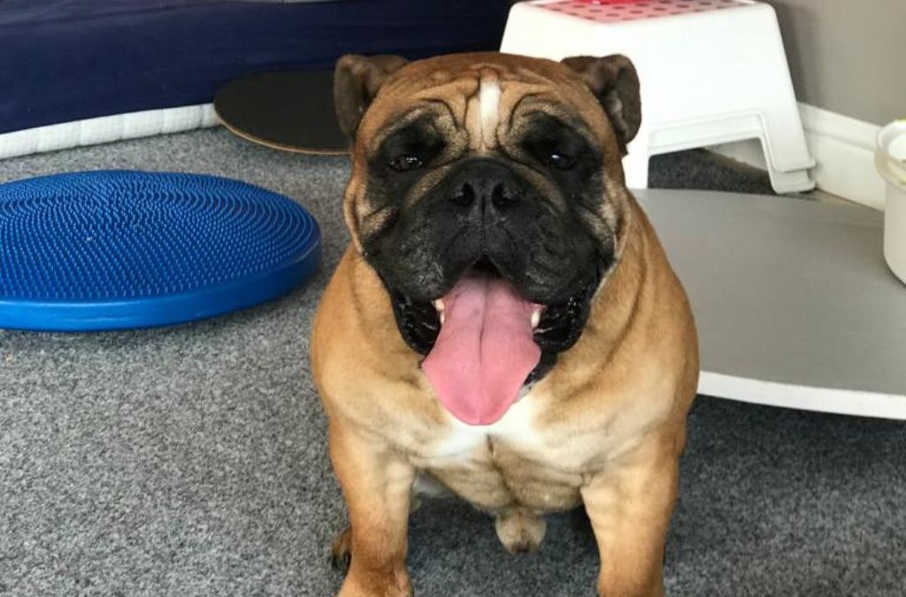 BRUTUS