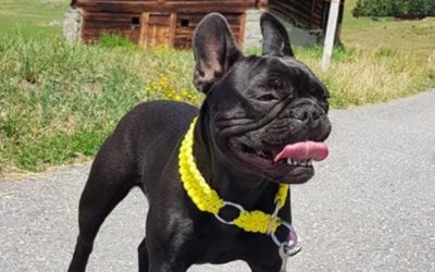 CHUPA CHUPS