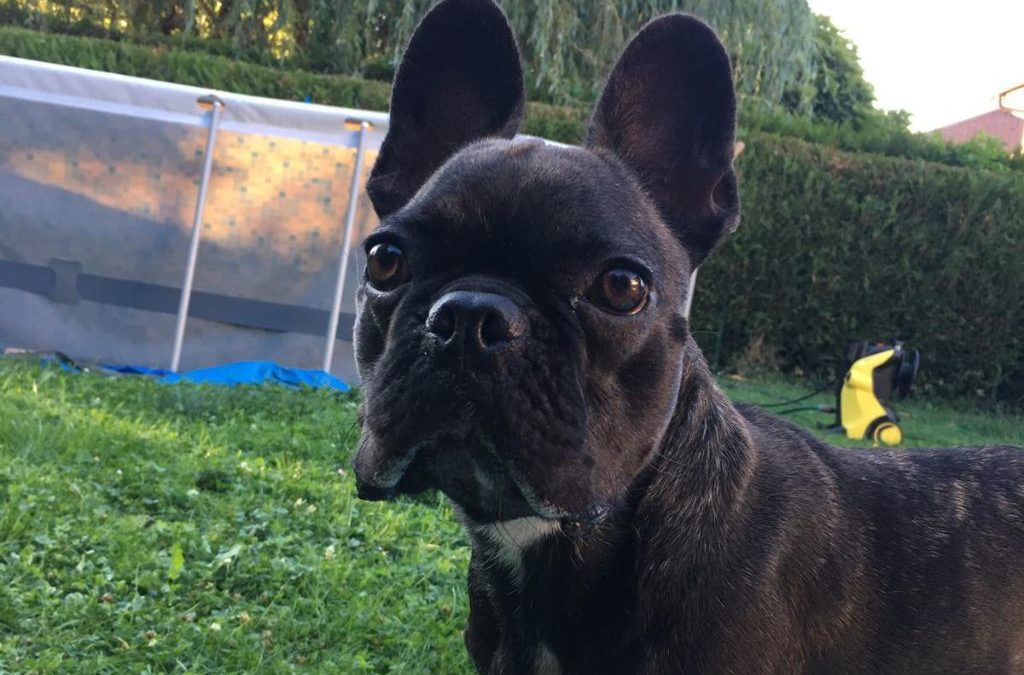 KAYA