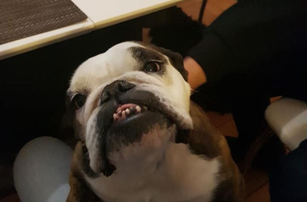 ZOLA