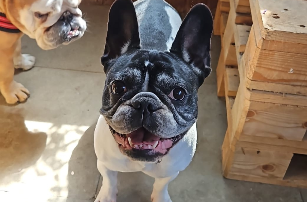 LUNA
