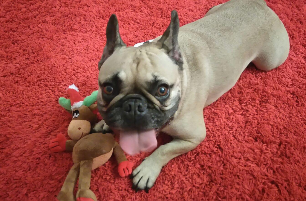CHARLY