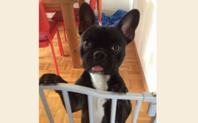 DIEGO