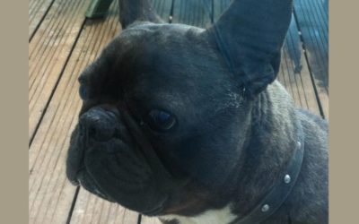 WILMA