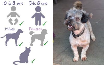 MILOU