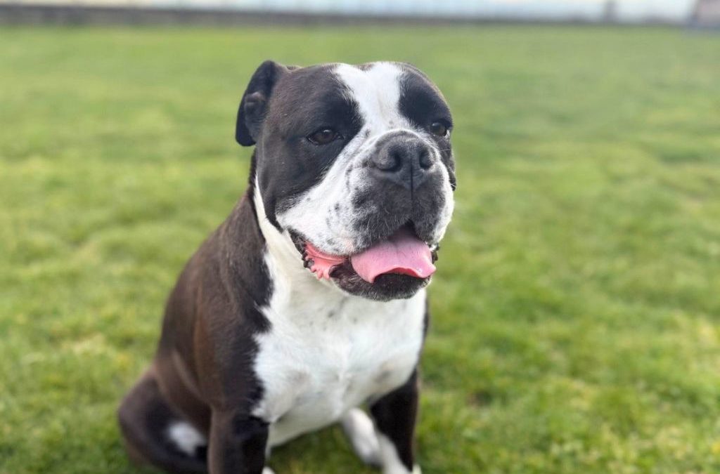 LOLA
