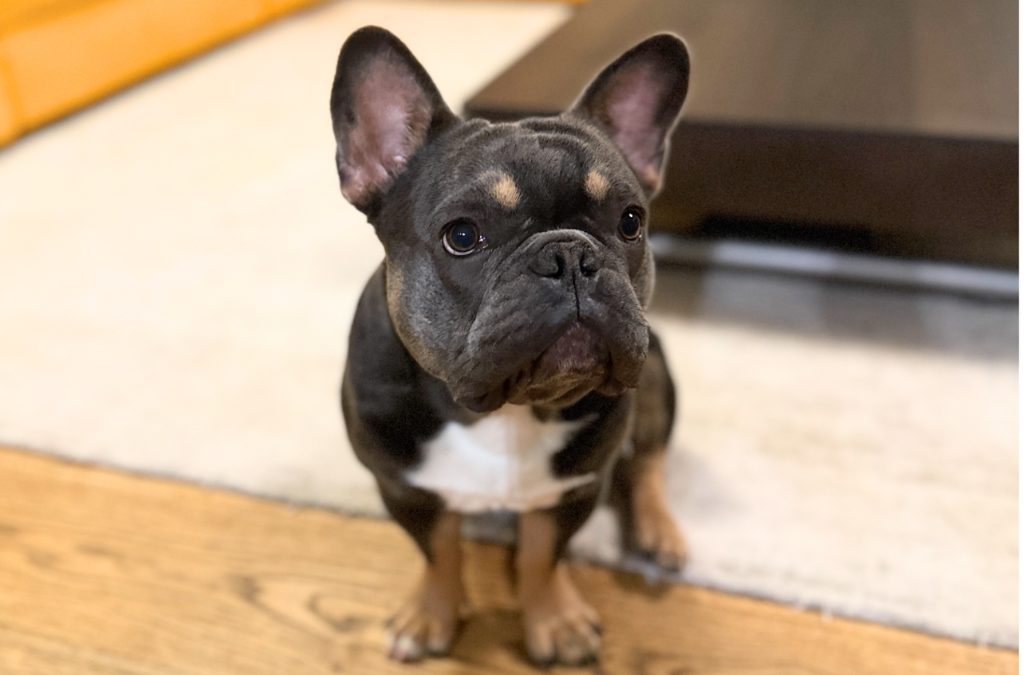 BALOU